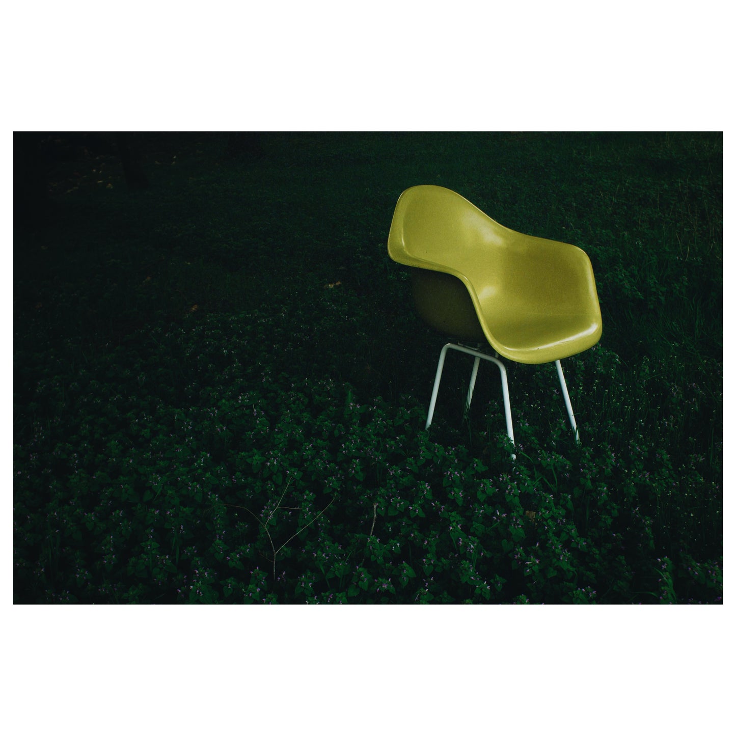 Fauteuil DAX par Eames pour Herman Miller, 1960