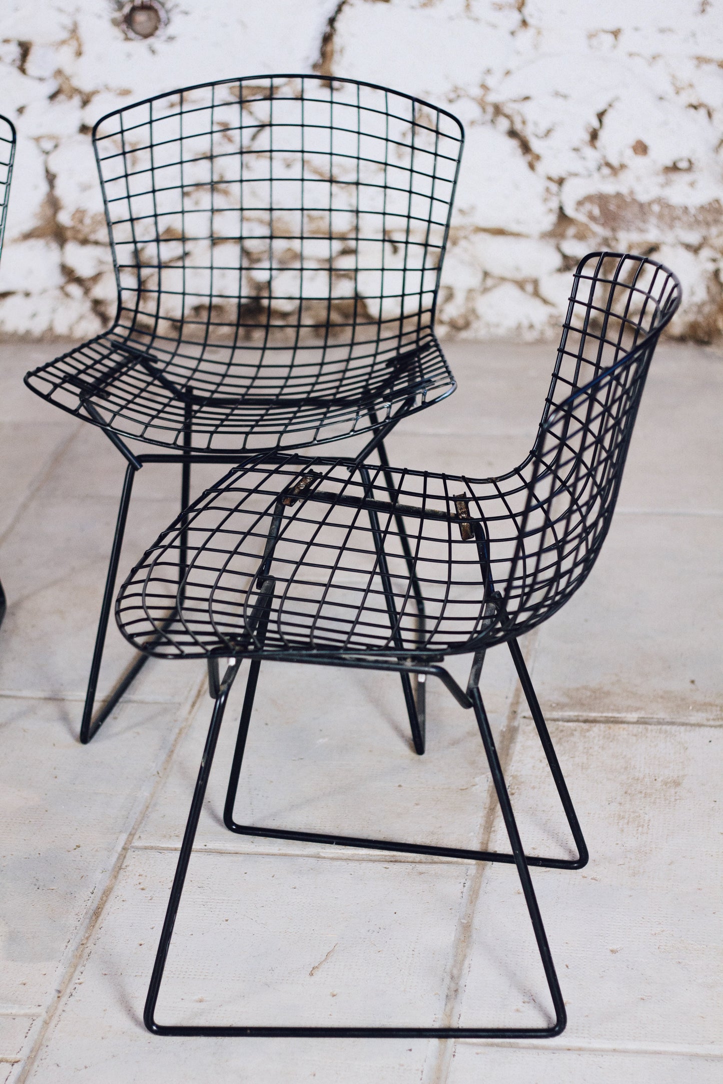 4 chaises Wire, Harry Bertoia, 1950