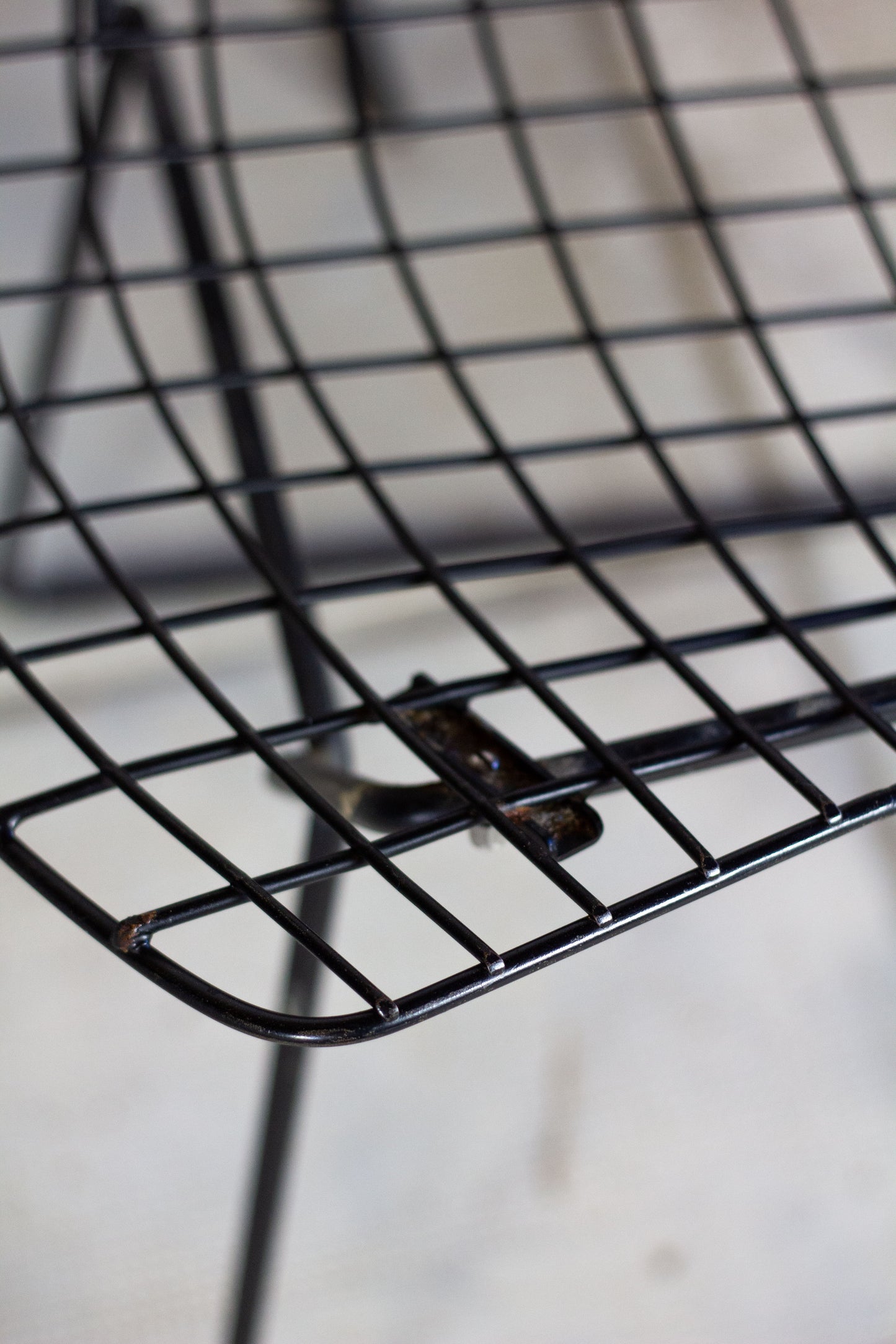 4 chaises Wire, Harry Bertoia, 1950
