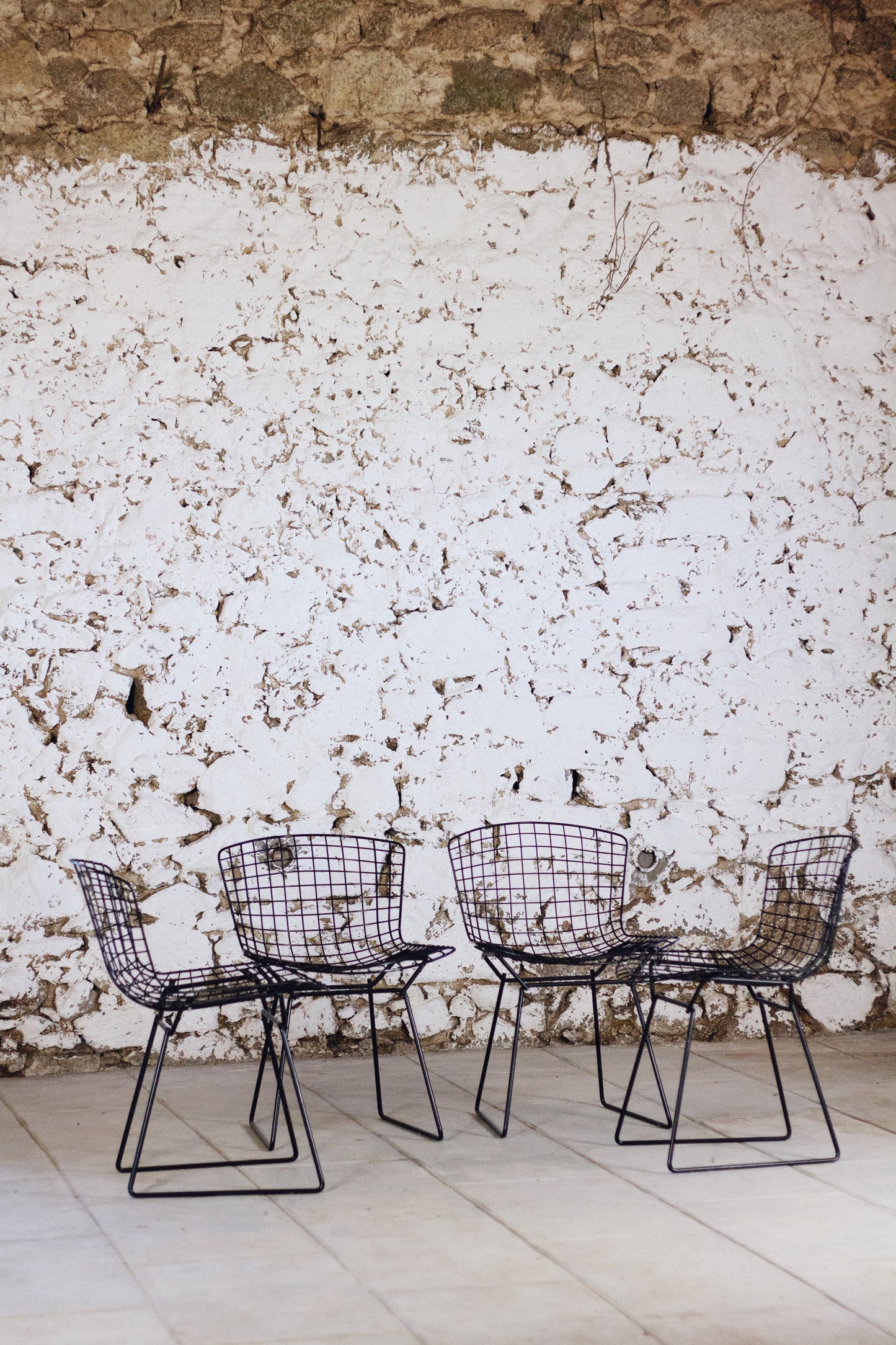 4 chaises Wire, Harry Bertoia, 1950
