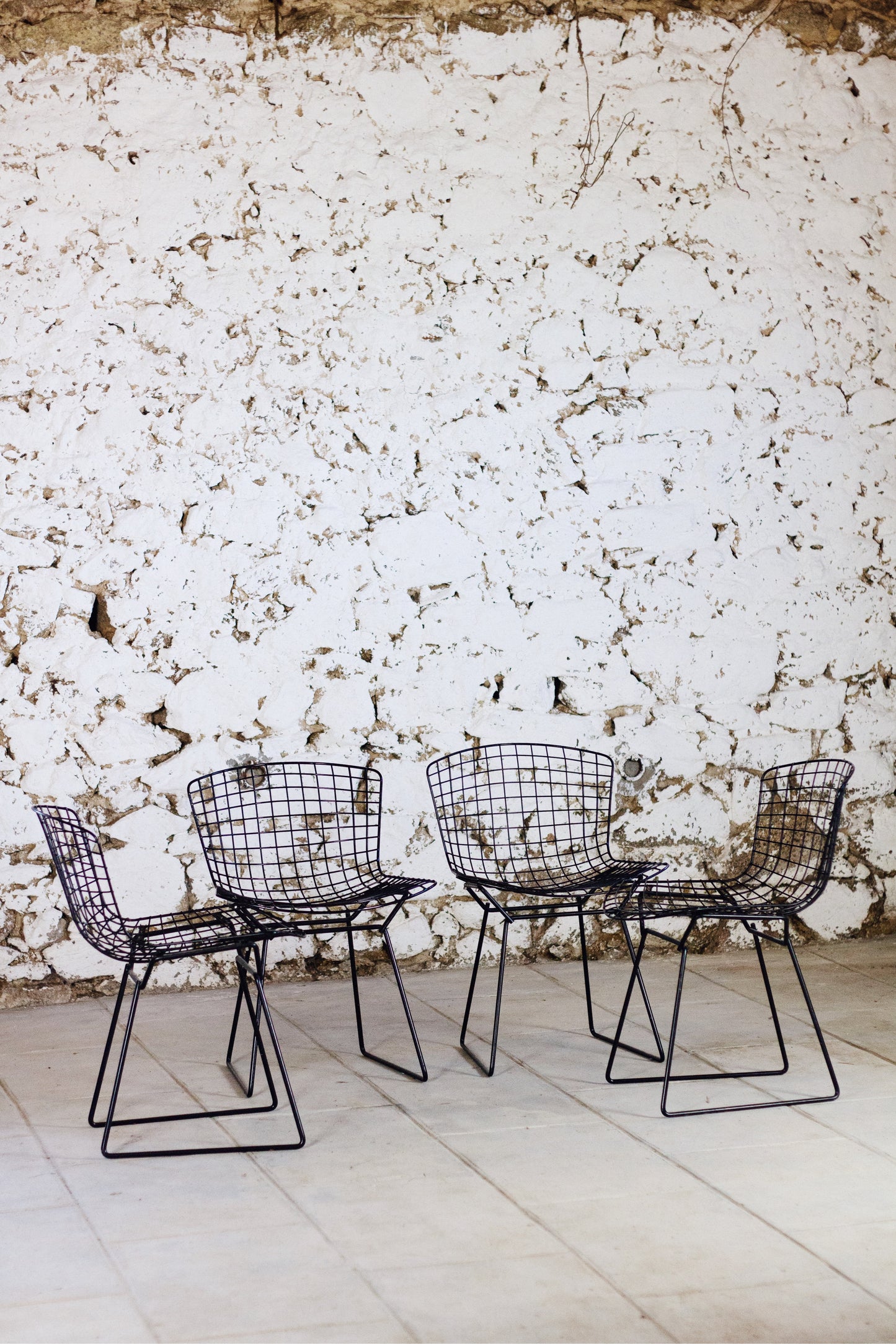 4 chaises Wire, Harry Bertoia, 1950