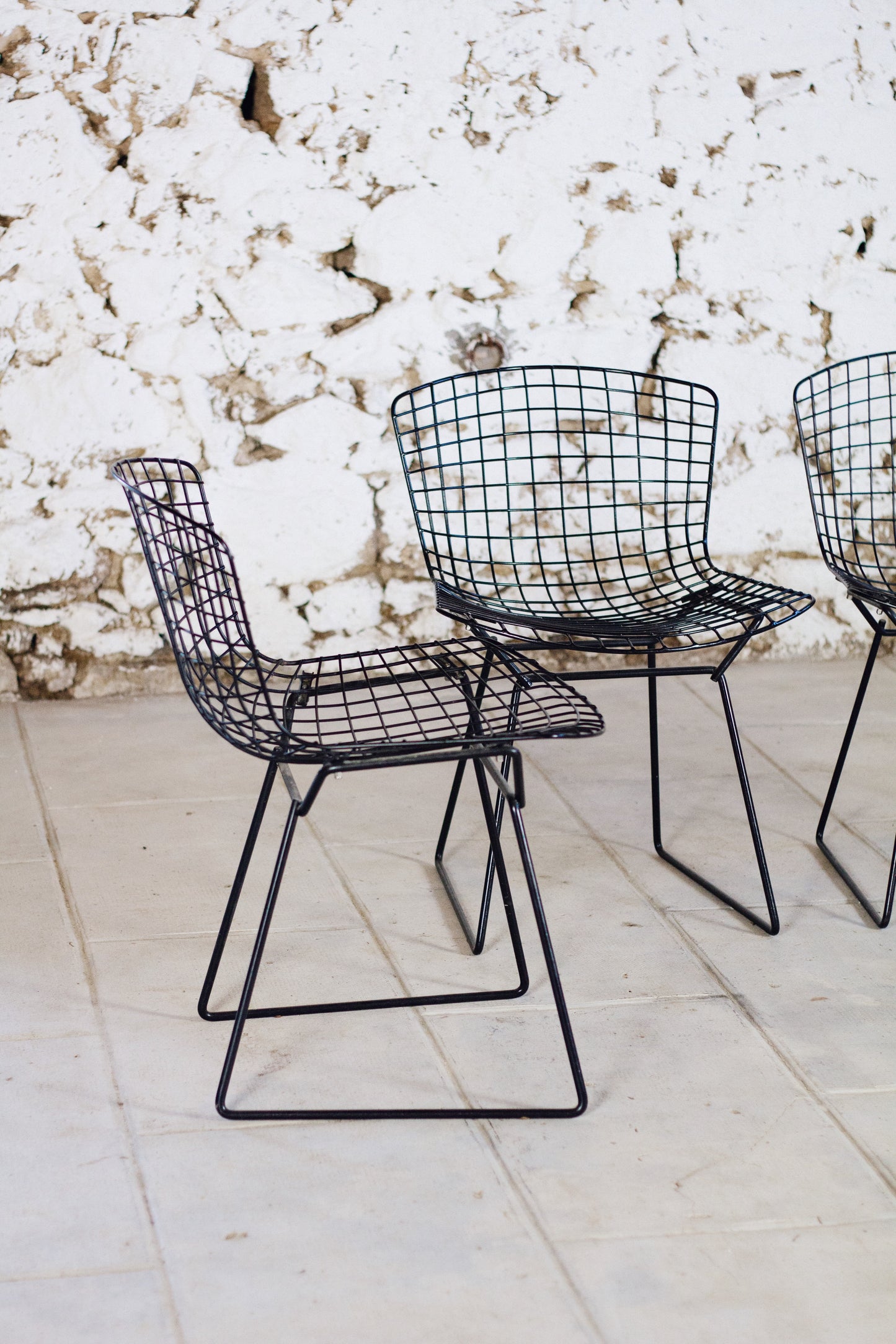 4 chaises Wire, Harry Bertoia, 1950