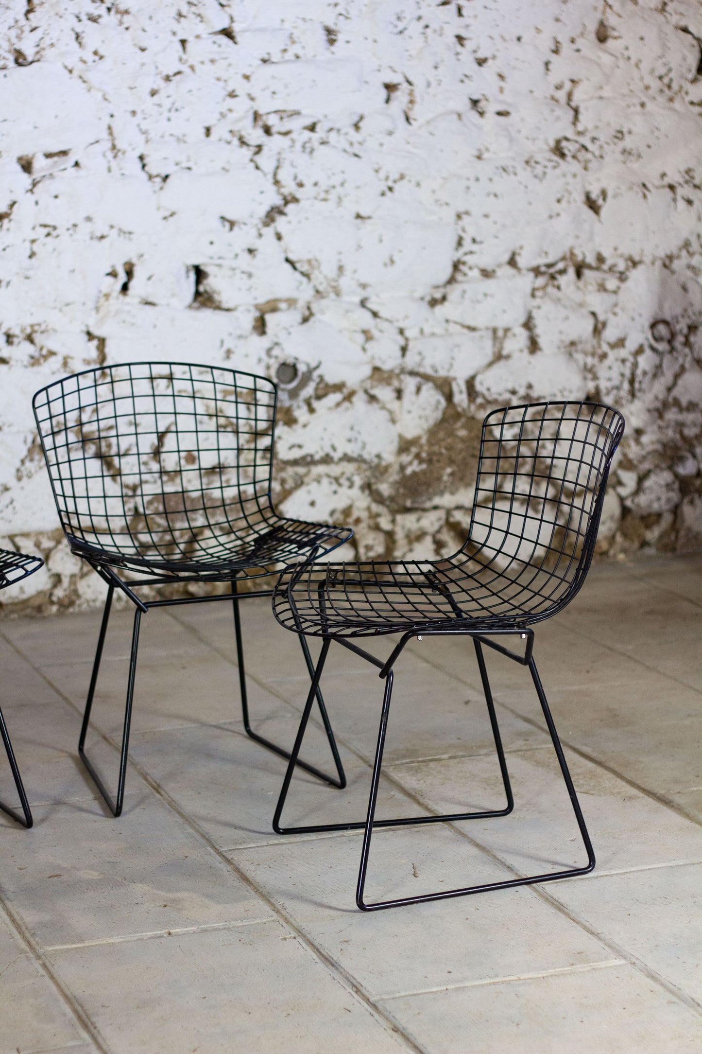 4 chaises Wire, Harry Bertoia, 1950