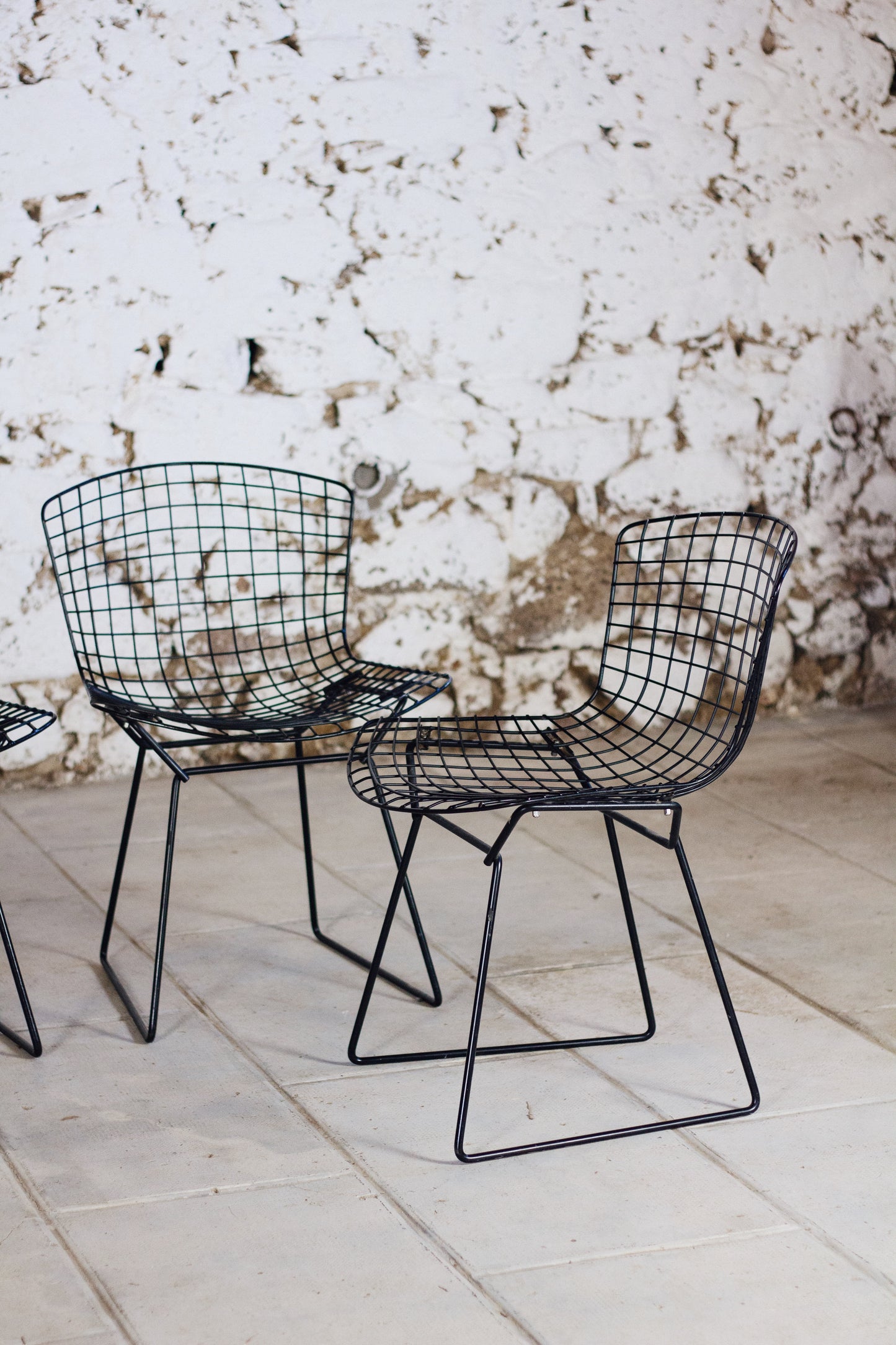 4 chaises Wire, Harry Bertoia, 1950