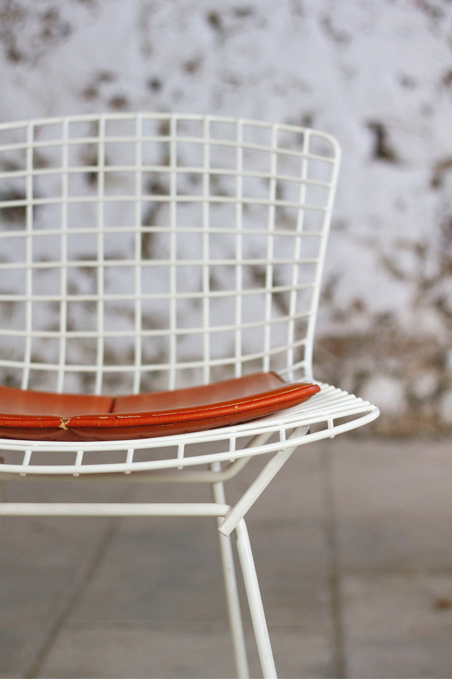 Chaise Wire blanche par Harry Bertoia