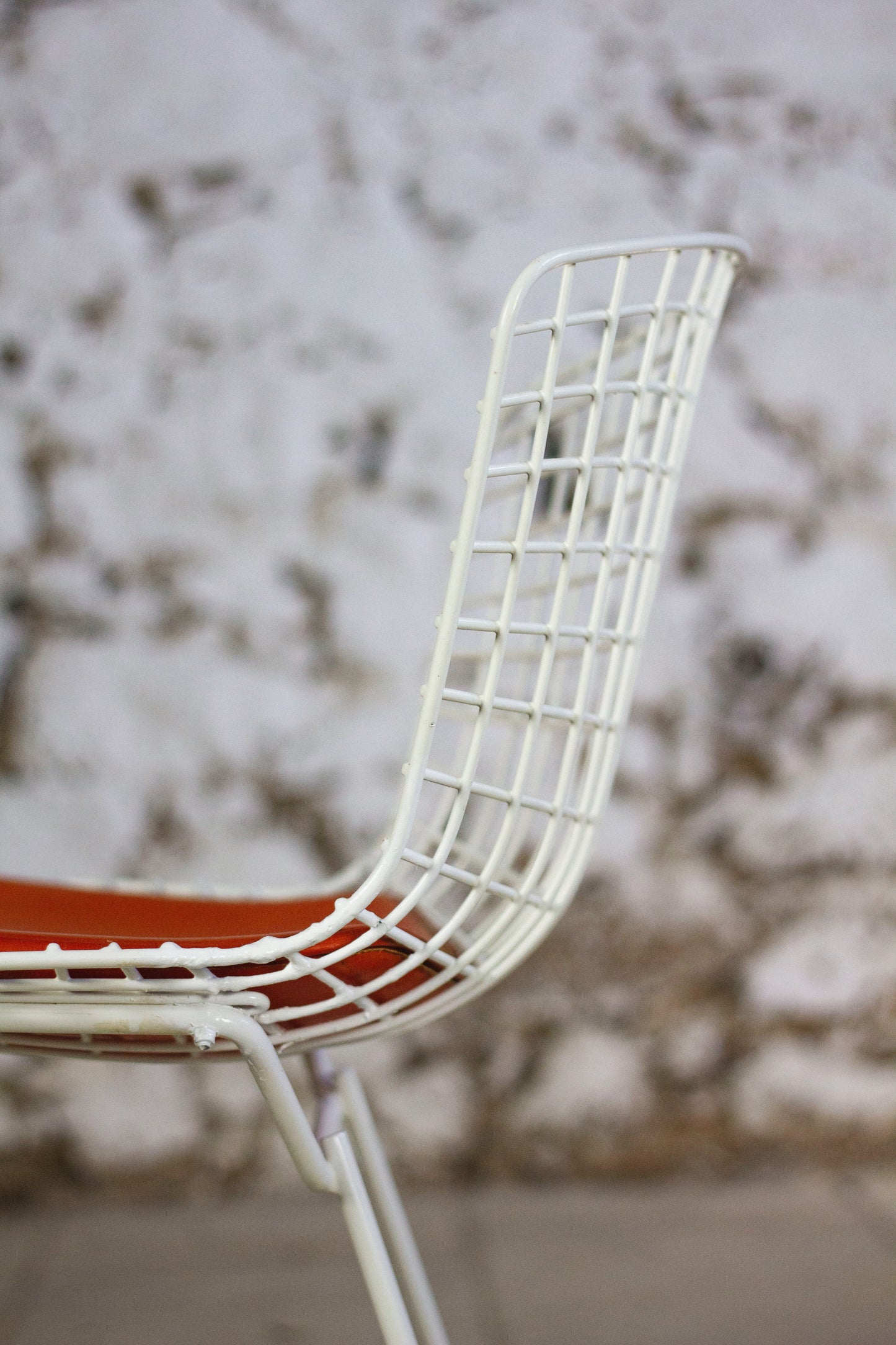 Chaise Wire blanche par Harry Bertoia