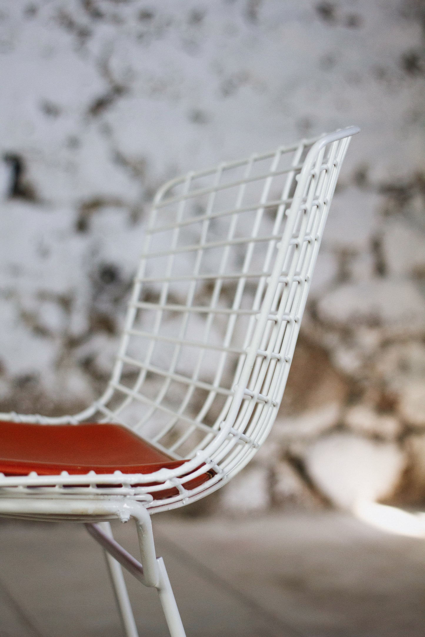 Chaise Wire blanche par Harry Bertoia