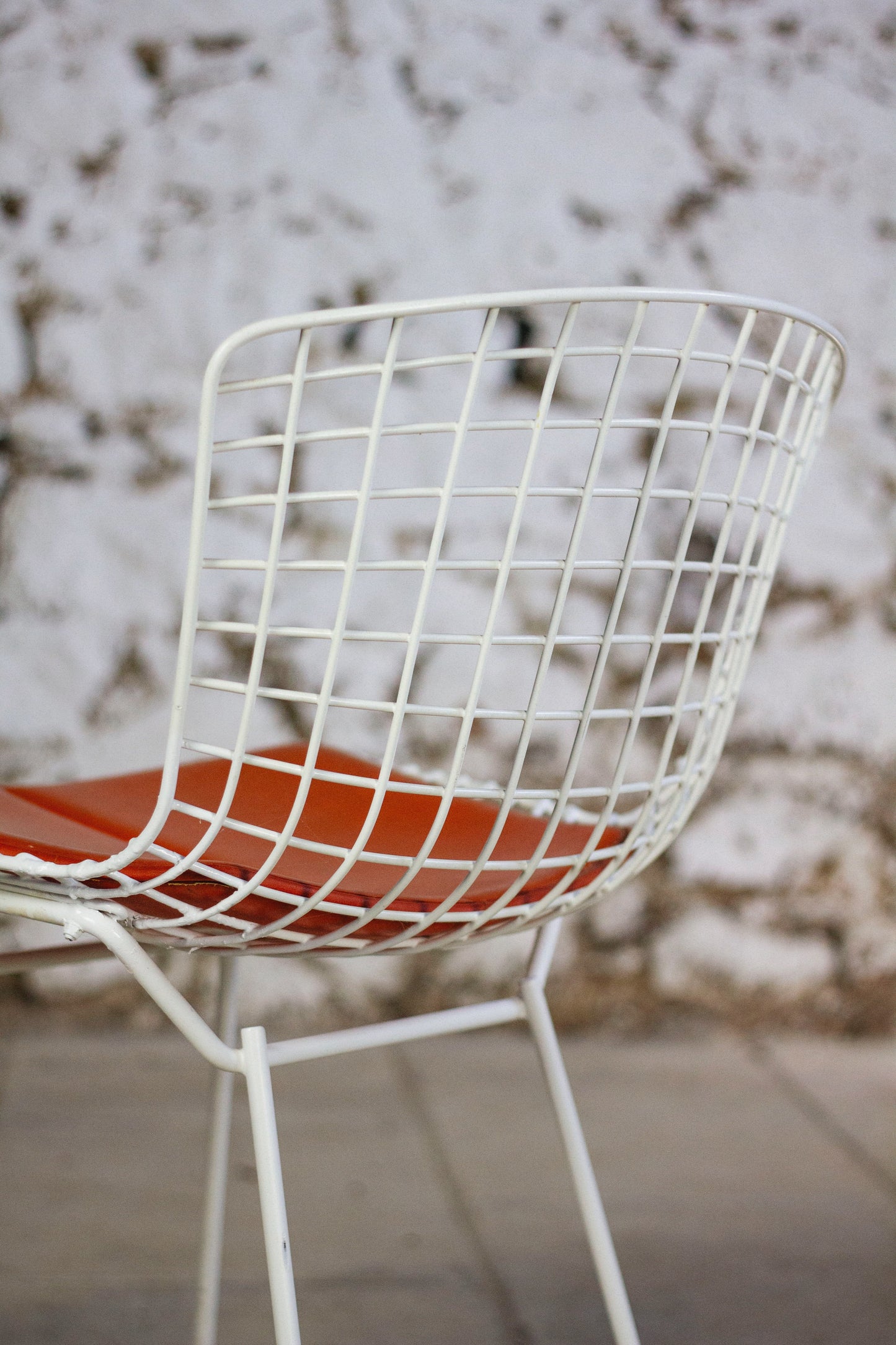 Chaise Wire blanche par Harry Bertoia