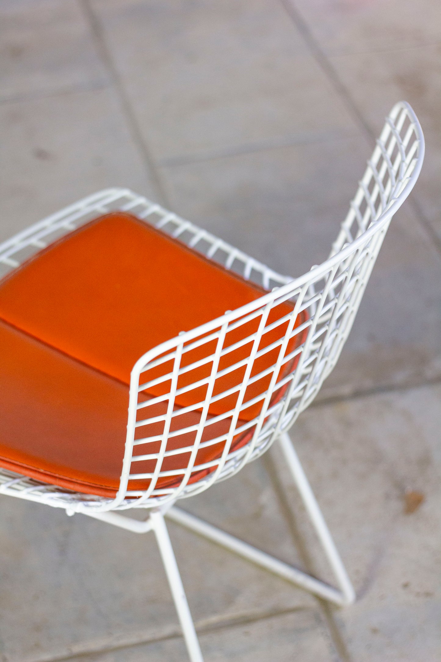 Chaise Wire blanche par Harry Bertoia