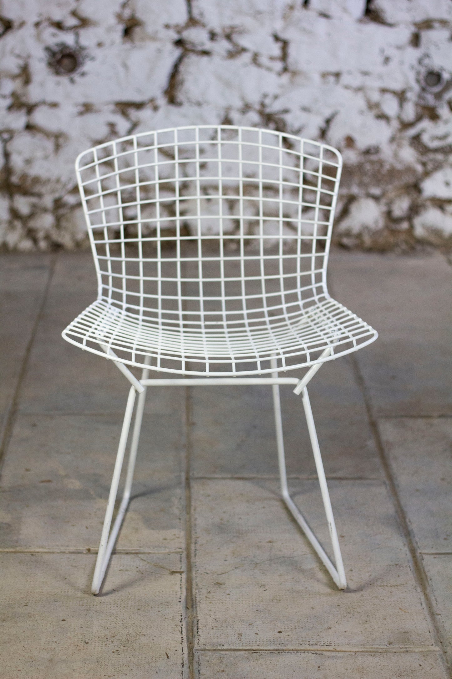 Chaise Wire blanche par Harry Bertoia