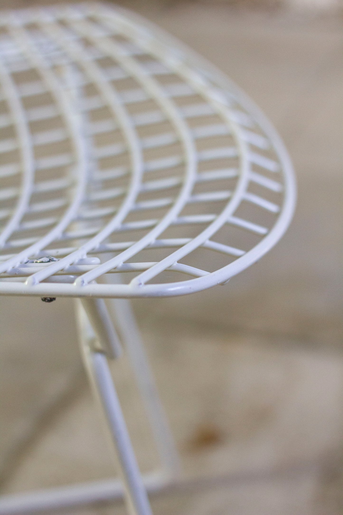 Chaise Wire blanche par Harry Bertoia