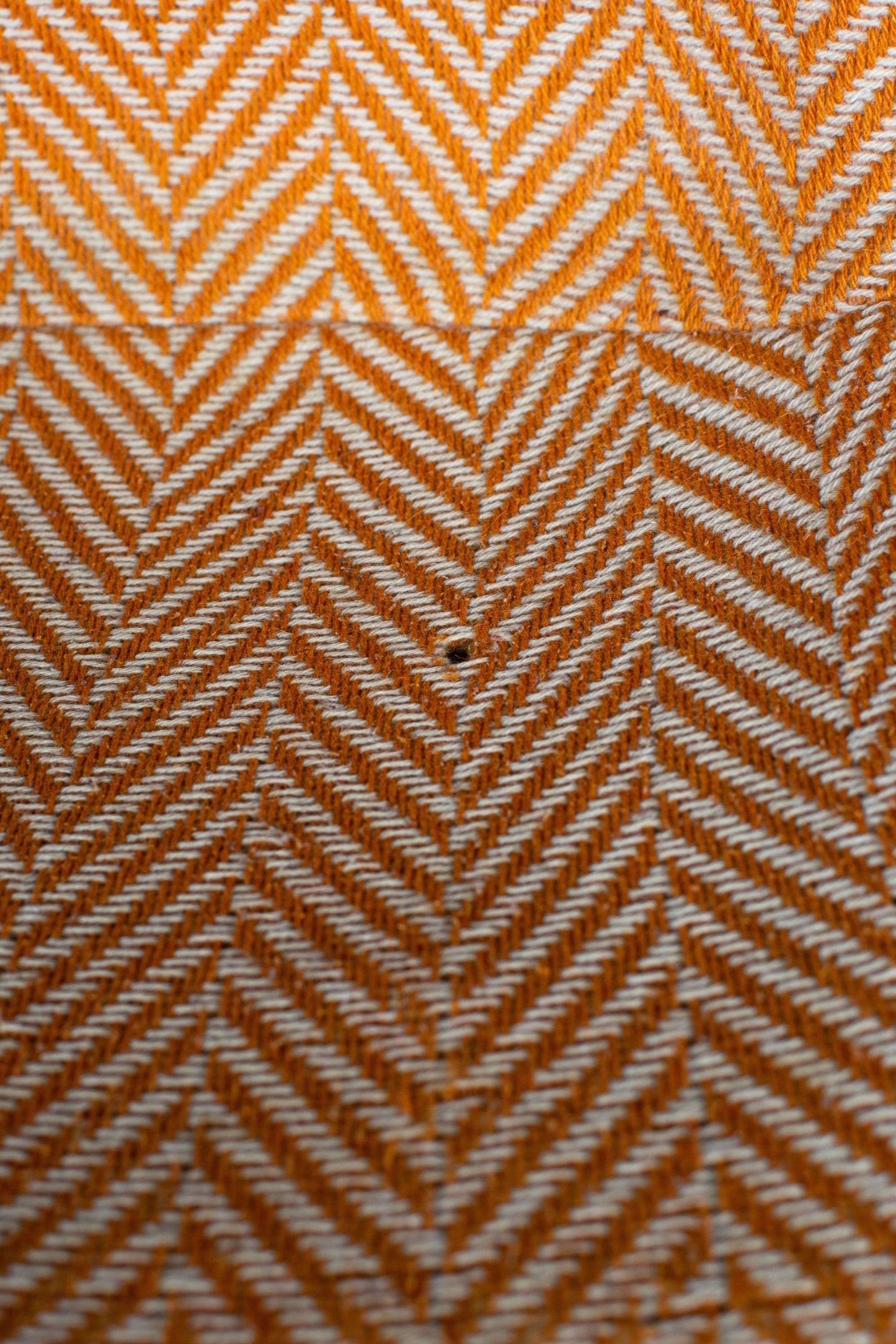 Chaise DSX de Charles & Ray Eames, HERMAN MILLER, 1960