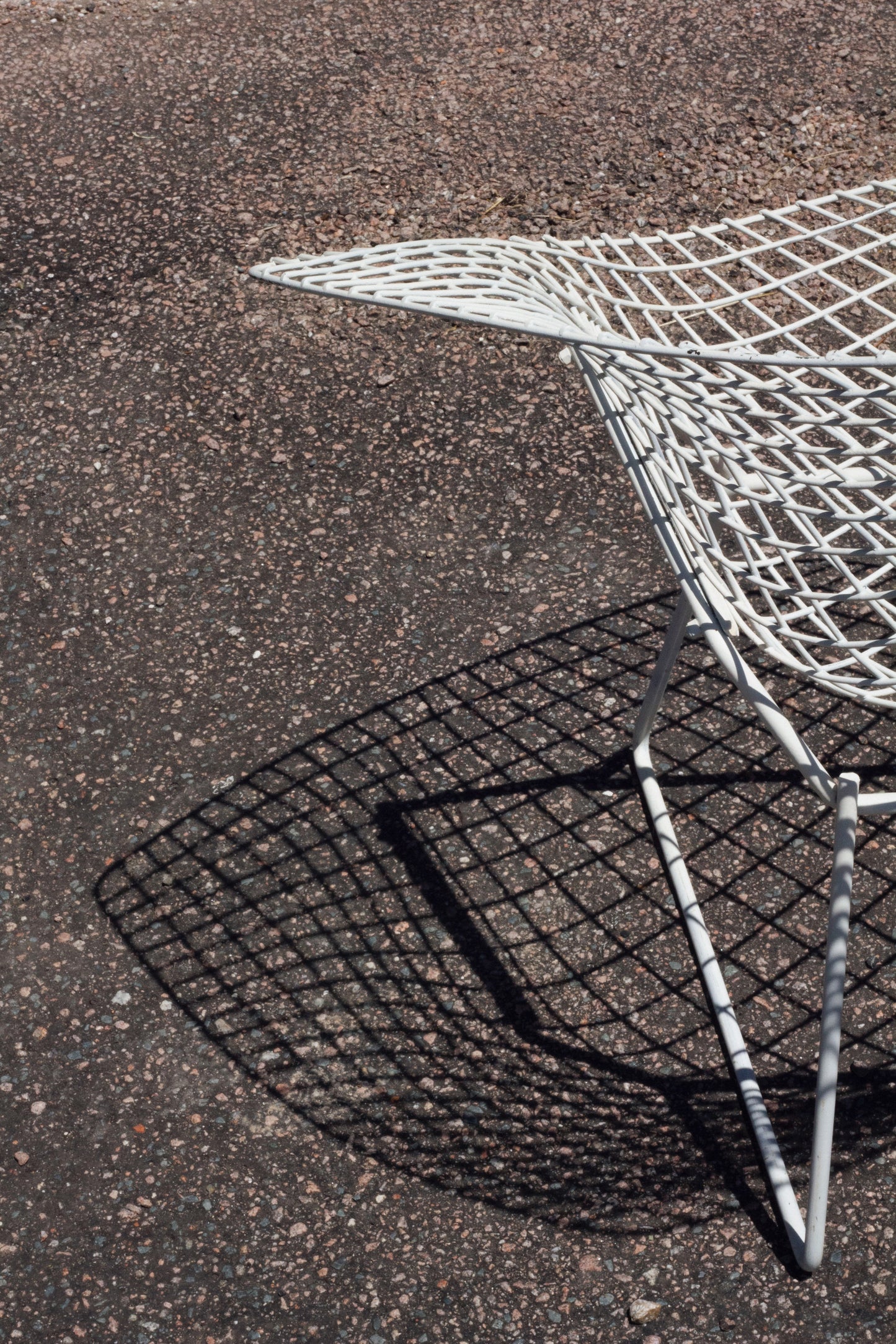 Fauteuil Diamond Chair blanc, Harry Bertoia, 1960
