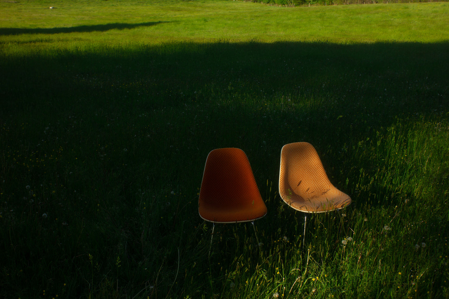 Chaise DSX de Charles & Ray Eames, HERMAN MILLER, 1960