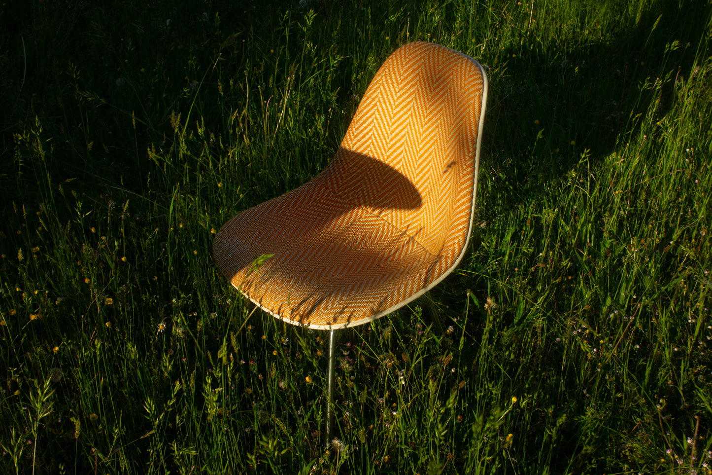 Chaise DSX de Charles & Ray Eames, HERMAN MILLER, 1960