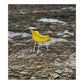 Fauteuil DAX par Eames pour Herman Miller, 1960