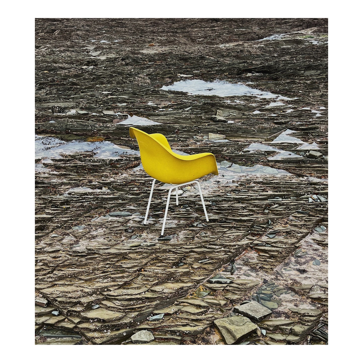 Fauteuil DAX par Eames pour Herman Miller, 1960