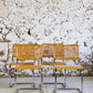Lot de 4 chaises Cesca B32 par Marcel Breuer