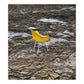 Fauteuil DAX par Eames pour Herman Miller, 1960