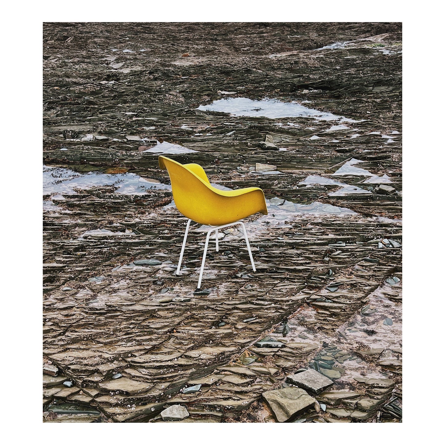 Fauteuil DAX par Eames pour Herman Miller, 1960