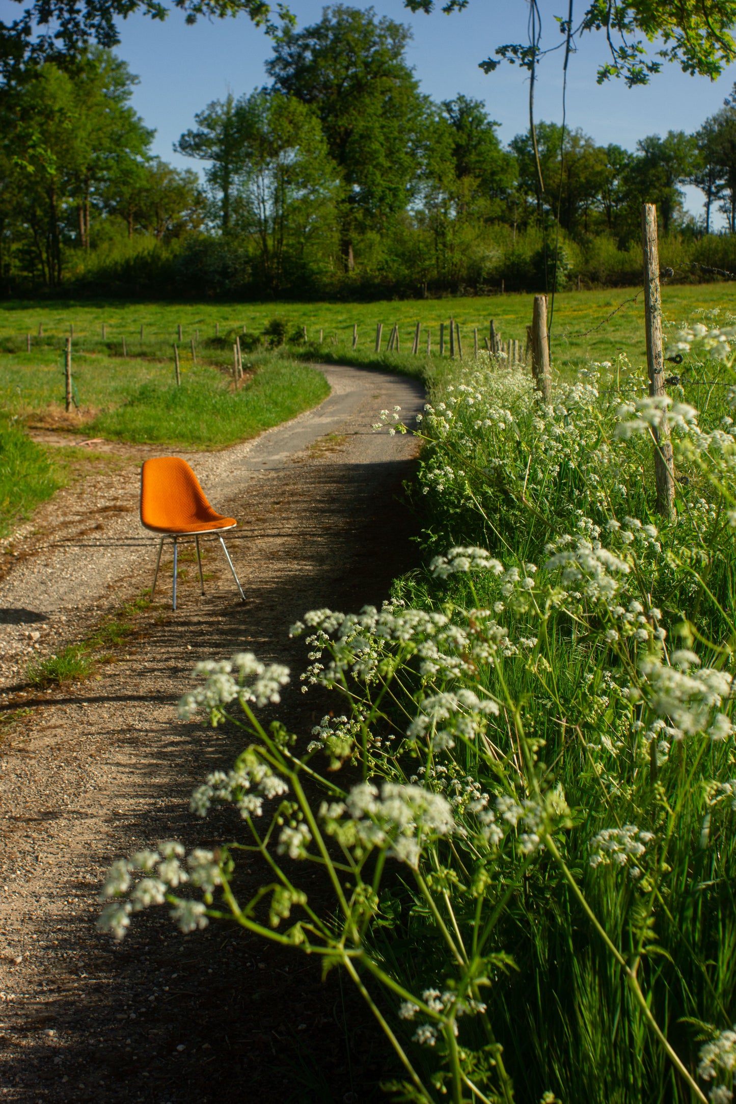 Chaise DSX de Charles & Ray Eames, HERMAN MILLER, 1960