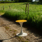 Table Tulipe par Gastone Rinaldi, 1970