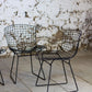 4 chaises Wire, Harry Bertoia, 1950