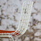 Chaise Wire blanche par Harry Bertoia