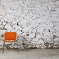 Série de 6 chaises DSC106 par Giancarlo Piretti pour Castelli