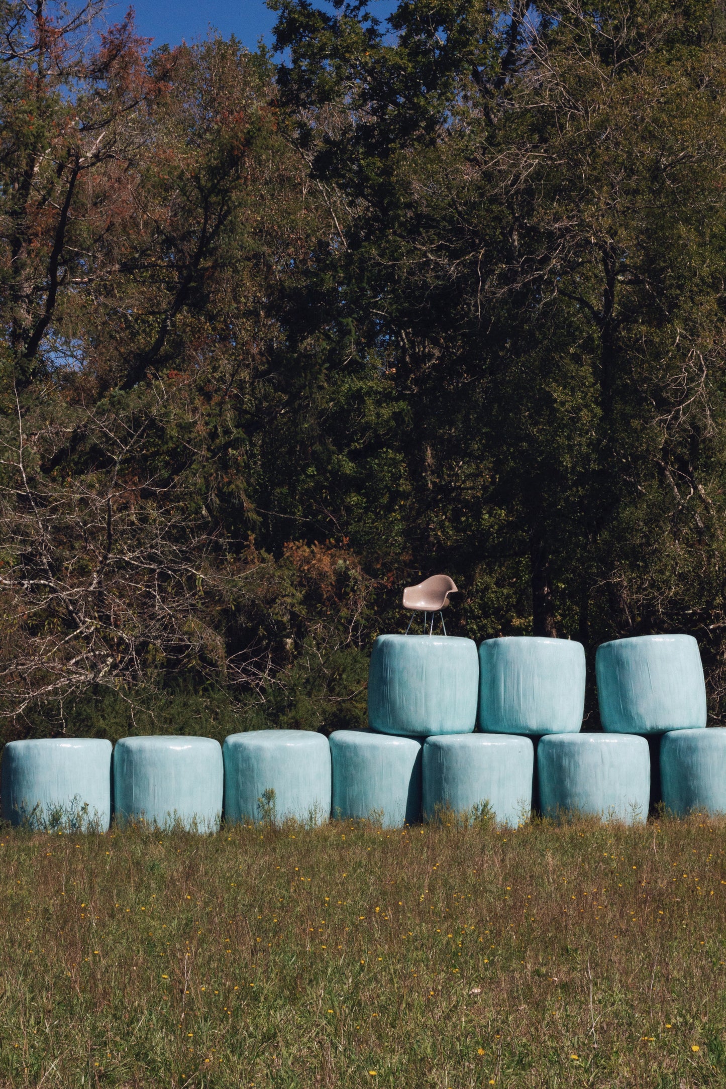 Fauteuil DAX par Eames pour Herman Miller, 1960