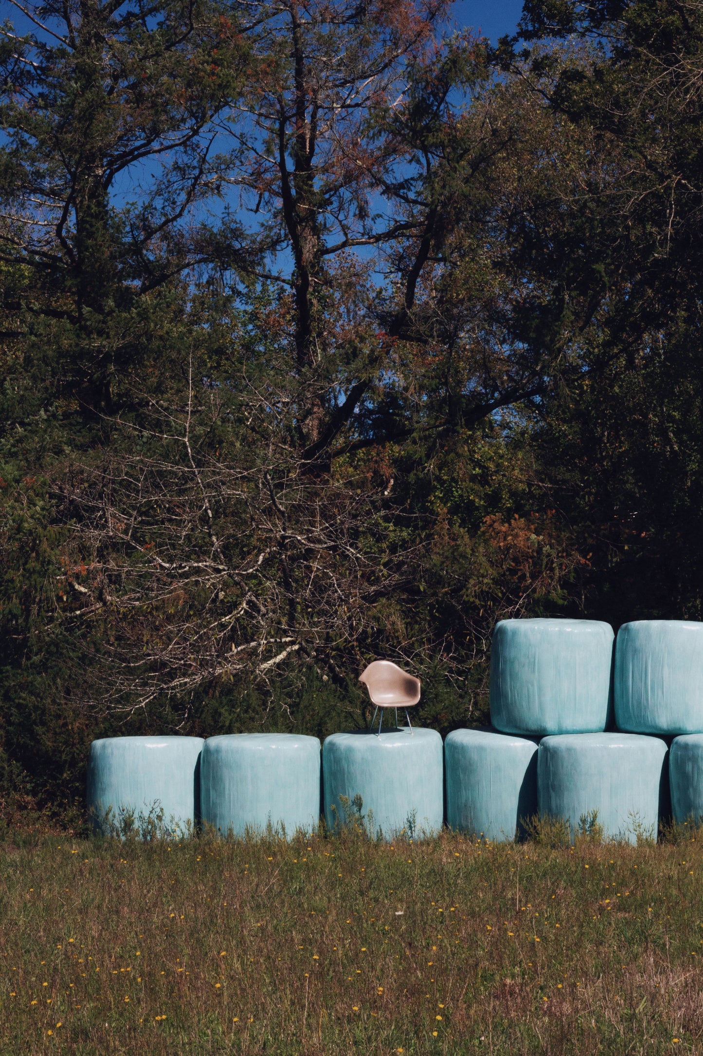 Fauteuil DAX par Eames pour Herman Miller, 1960