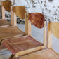 4 chaises de cantine vintage en hêtre, 1980