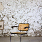 Fauteuil Cesca B64 par Marcel Breuer, 1970