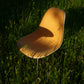Chaise DSX de Charles & Ray Eames, HERMAN MILLER, 1960