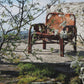 Fauteuil "safari" en cuir et bambou par Tito Agnoli, 1960
