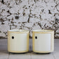 Paire de chevets Componibili par Anna Castelli pour Kartell, 1970