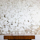 Table basse en loupe d'orme, 1970