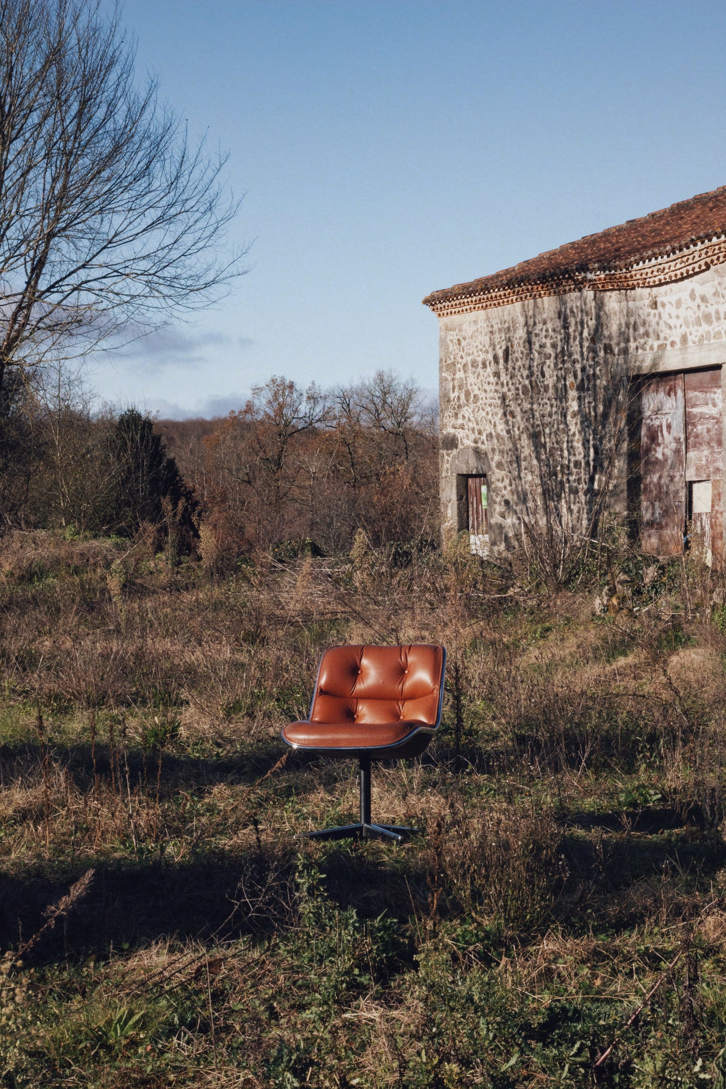 Fauteuil executive de Charles Pollock pour KNOLL