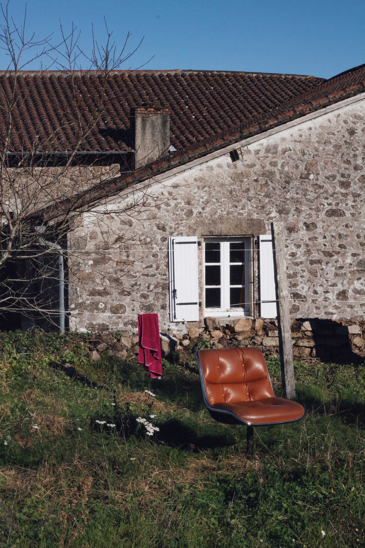 Fauteuil executive de Charles Pollock pour KNOLL