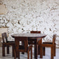 Ensemble table extensible et 5 chaises Silvio Coppola, 1970
