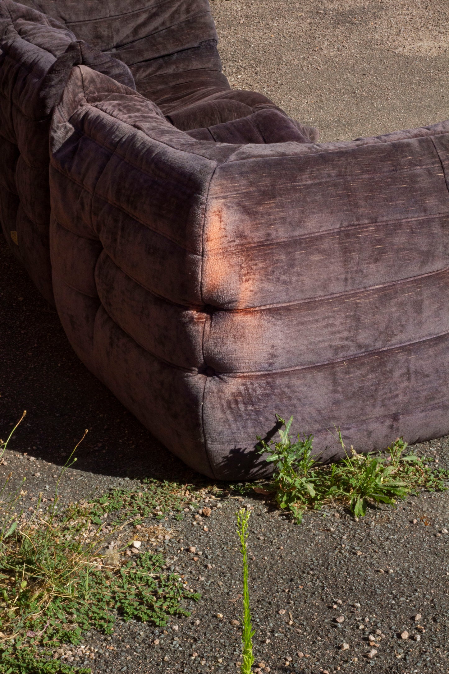 Ensemble de 3 canapés Togo en velours aubergine par Michel Ducaroy, LIGNE ROSET, 1973