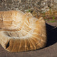 Chauffeuse 1 place Togo velours beige par Michel Ducaroy pour Ligne Roset