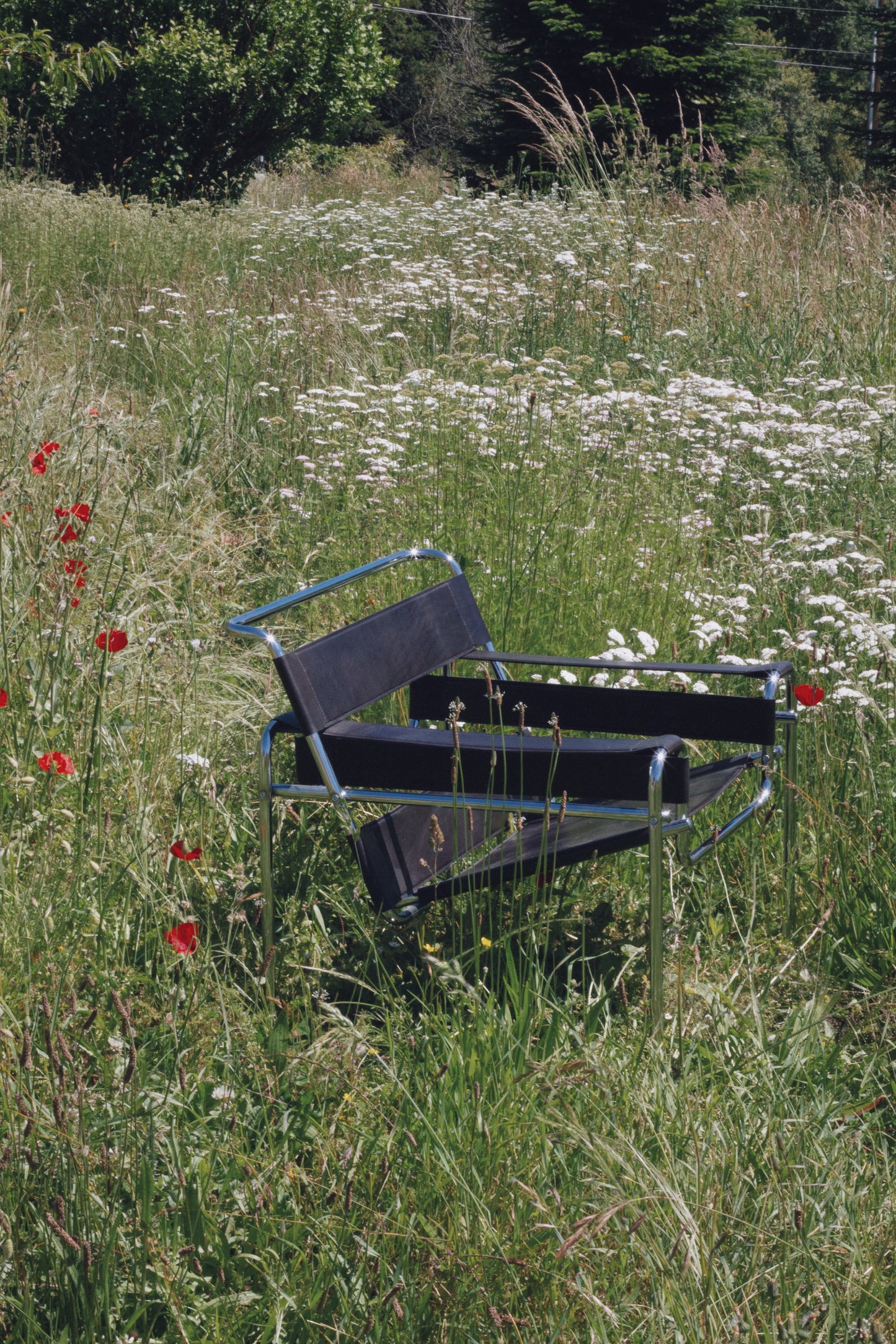 Fauteuil Wassily en cuir brun par Marcel Breuer