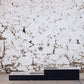 Table basse bar bois et acier Willy Rizzo, 1970