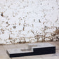 Table basse bar bois et acier Willy Rizzo, 1970