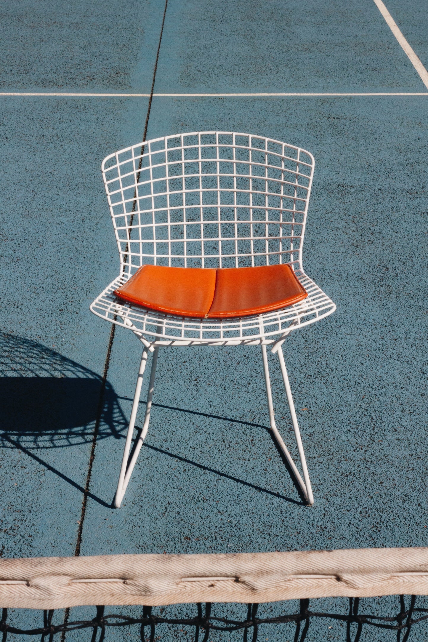 Chaise Wire blanche par Harry Bertoia