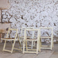 4 chaises pliantes en cannage style Aldo Jacober, 1960