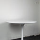 Table Tulip Maurice Burke, ARKANA
